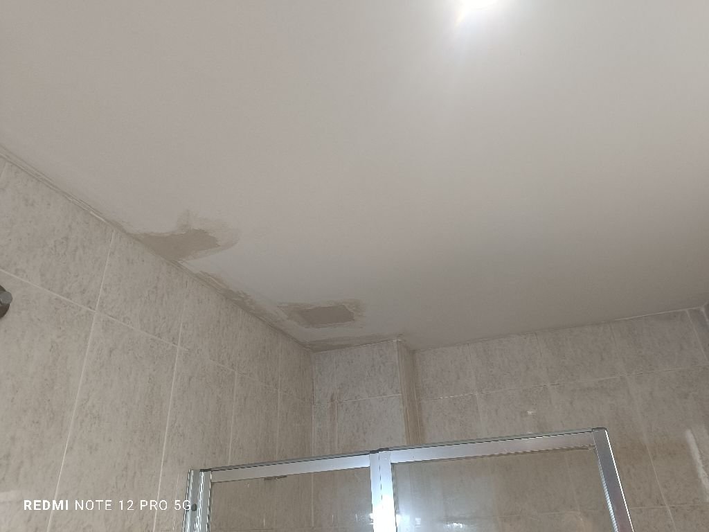 Reparación de cielorraso de baño